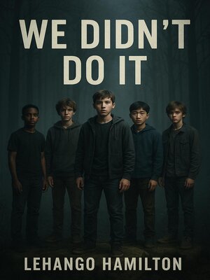 cover image of We Didn't Do It